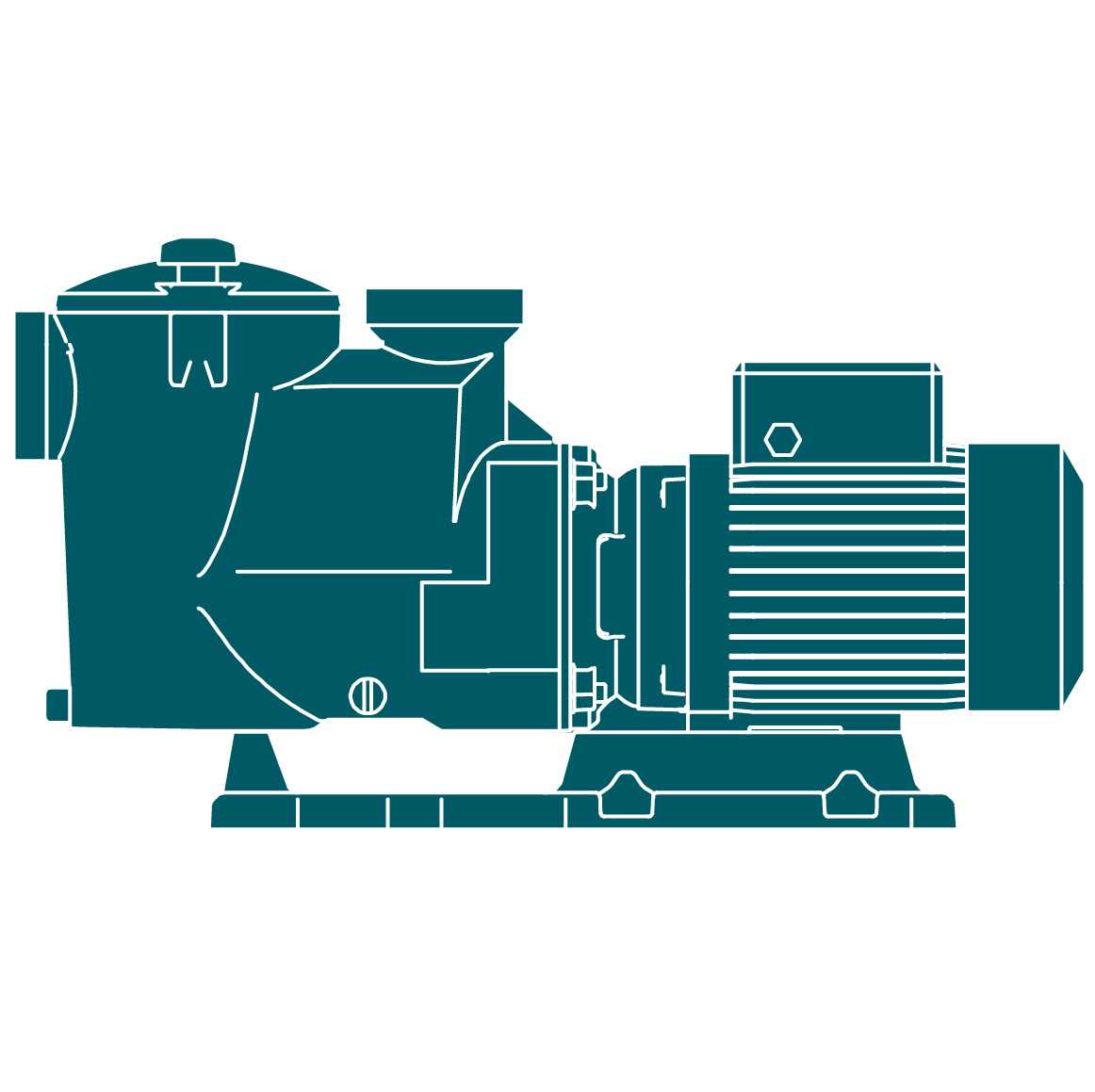 Pompe centrifuga per piscina